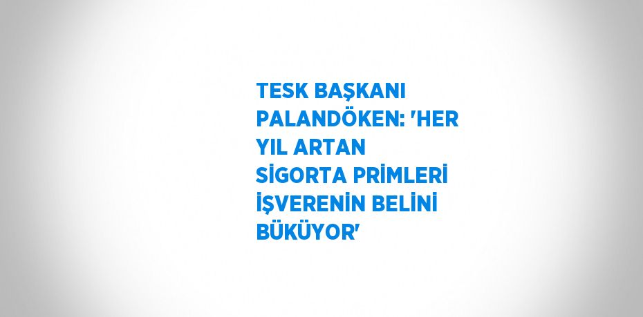 TESK BAŞKANI PALANDÖKEN: 'HER YIL ARTAN SİGORTA PRİMLERİ İŞVERENİN BELİNİ BÜKÜYOR'