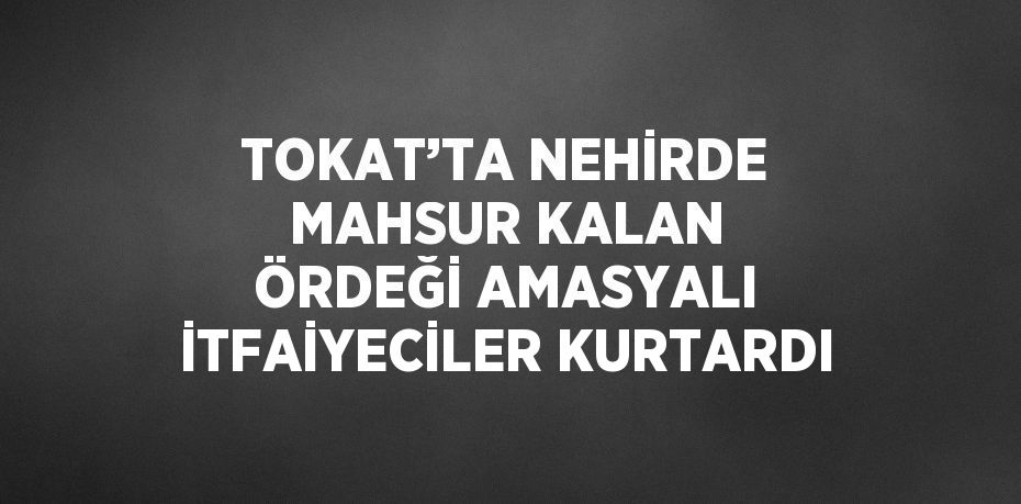 TOKAT’TA NEHİRDE MAHSUR KALAN ÖRDEĞİ AMASYALI İTFAİYECİLER KURTARDI