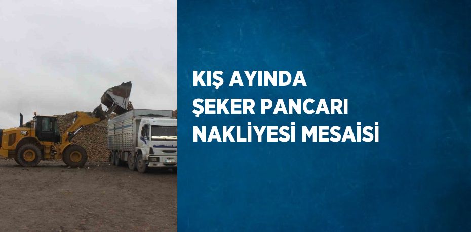 KIŞ AYINDA ŞEKER PANCARI NAKLİYESİ MESAİSİ