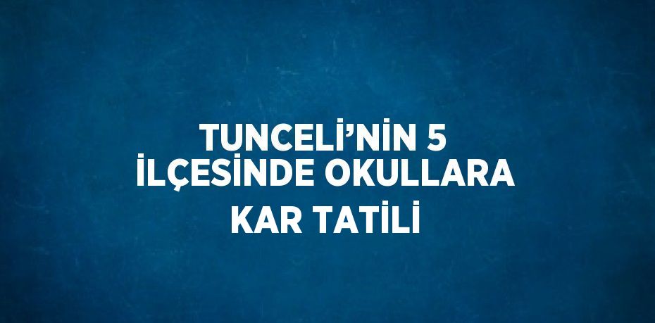 TUNCELİ’NİN 5 İLÇESİNDE OKULLARA KAR TATİLİ