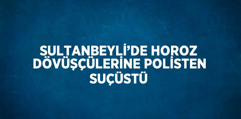 SULTANBEYLİ’DE HOROZ DÖVÜŞÇÜLERİNE POLİSTEN SUÇÜSTÜ