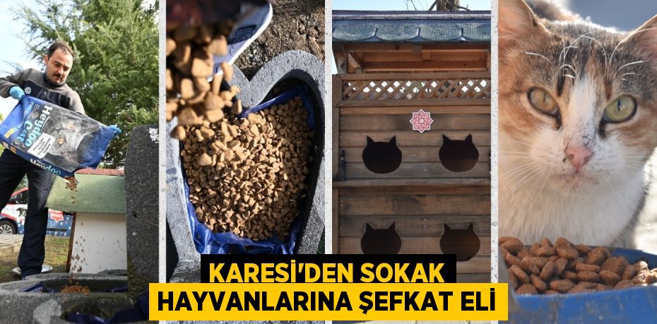 KARESİ’DEN SOKAK HAYVANLARINA ŞEFKAT ELİ