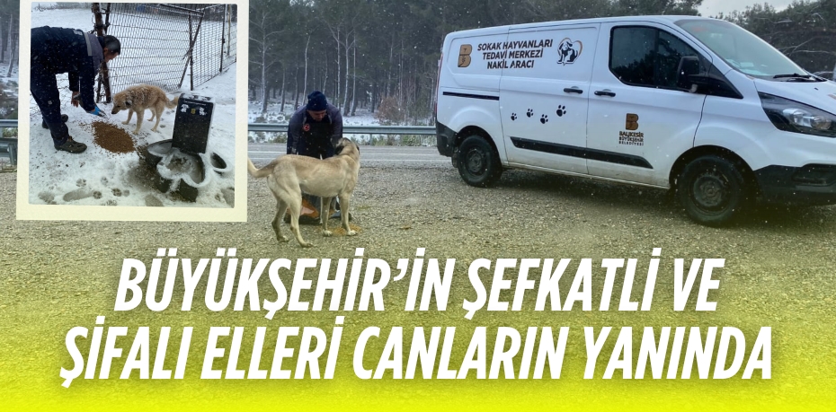 BÜYÜKŞEHİR’İN ŞEFKATLİ VE ŞİFALI ELLERİ CANLARIN YANINDA