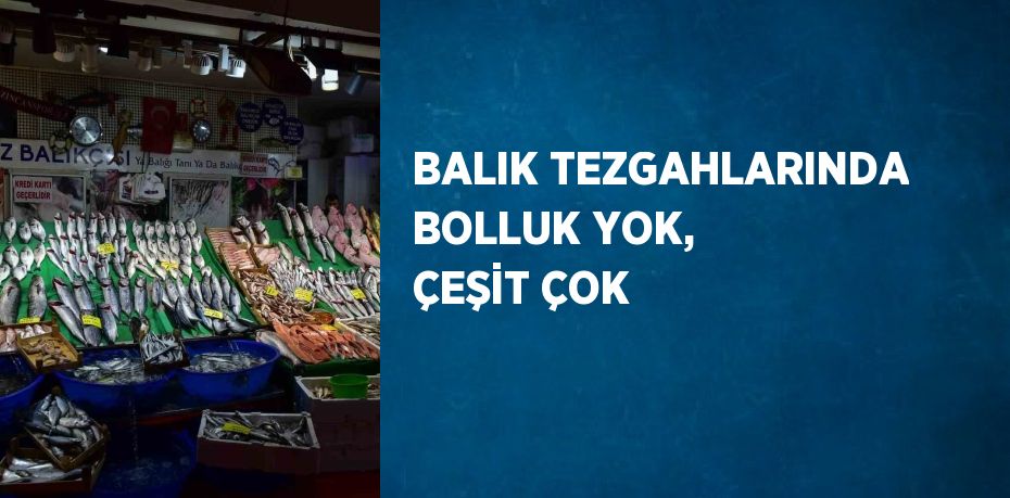 BALIK TEZGAHLARINDA BOLLUK YOK, ÇEŞİT ÇOK