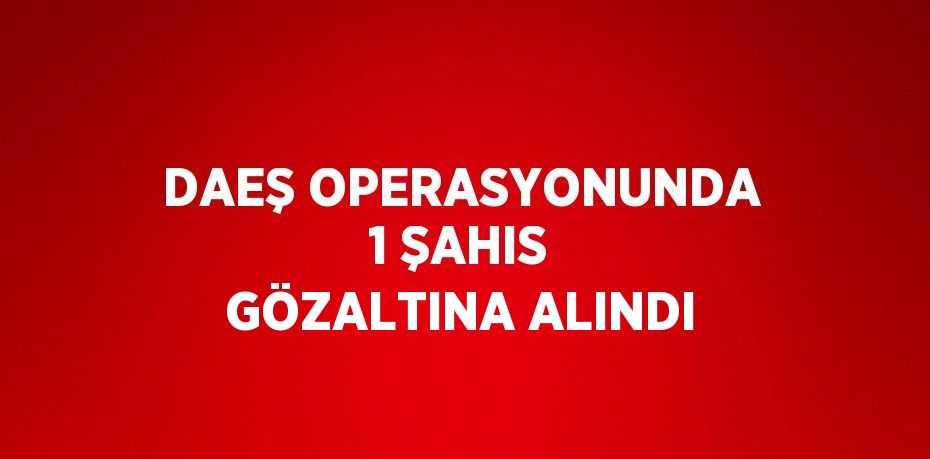 DAEŞ OPERASYONUNDA 1 ŞAHIS GÖZALTINA ALINDI