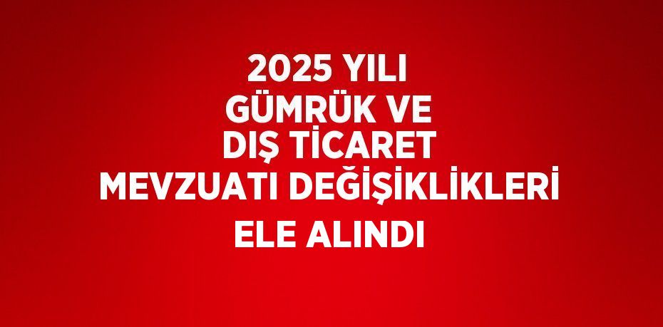 2025 YILI GÜMRÜK VE DIŞ TİCARET MEVZUATI DEĞİŞİKLİKLERİ ELE ALINDI