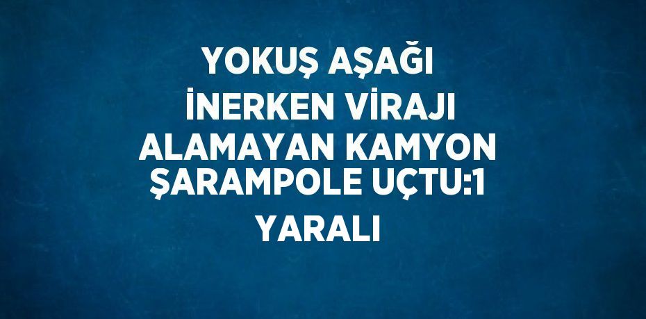 YOKUŞ AŞAĞI İNERKEN VİRAJI ALAMAYAN KAMYON ŞARAMPOLE UÇTU:1 YARALI