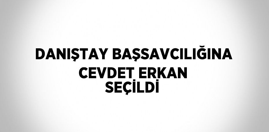 DANIŞTAY BAŞSAVCILIĞINA CEVDET ERKAN SEÇİLDİ