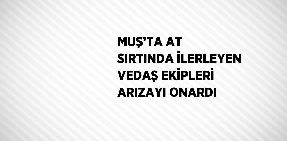 MUŞ’TA AT SIRTINDA İLERLEYEN VEDAŞ EKİPLERİ ARIZAYI ONARDI