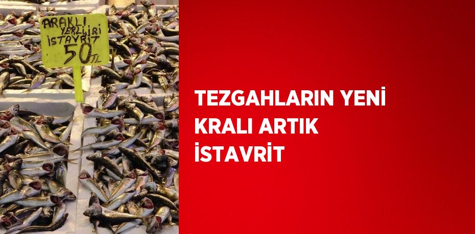 TEZGAHLARIN YENİ KRALI ARTIK İSTAVRİT