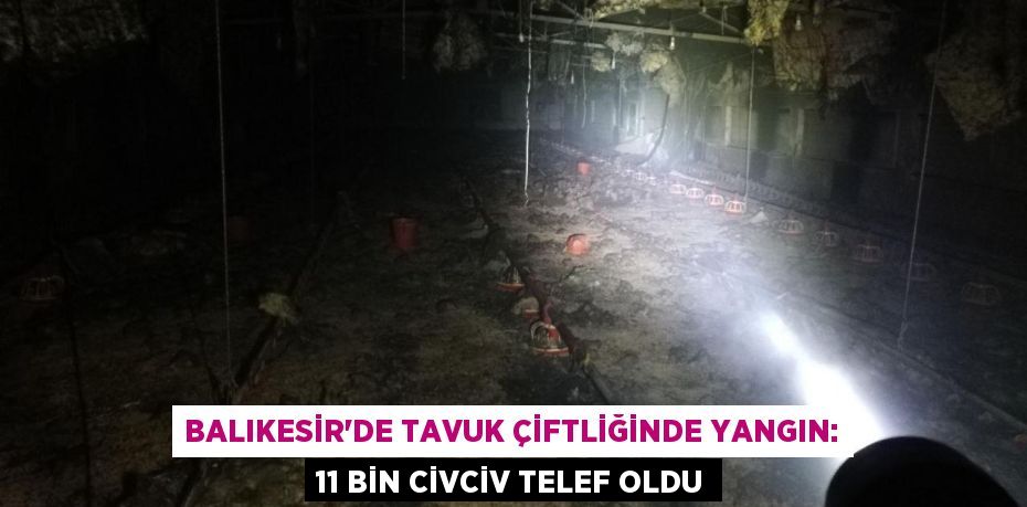 Balıkesir'de tavuk çiftliğinde yangın: 11 bin civciv telef oldu