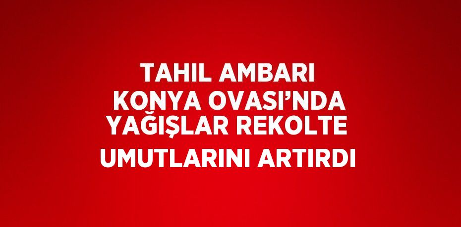 TAHIL AMBARI KONYA OVASI’NDA YAĞIŞLAR REKOLTE UMUTLARINI ARTIRDI