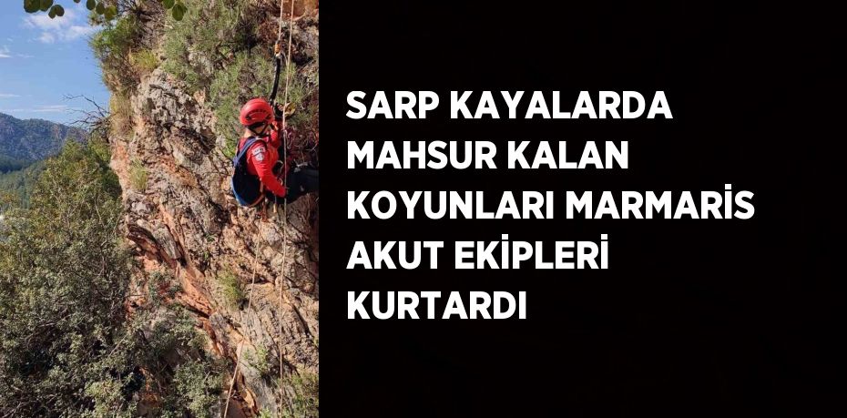 SARP KAYALARDA MAHSUR KALAN KOYUNLARI MARMARİS AKUT EKİPLERİ KURTARDI