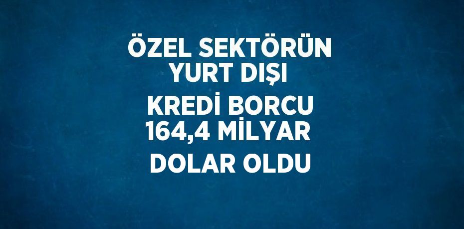 ÖZEL SEKTÖRÜN YURT DIŞI KREDİ BORCU 164,4 MİLYAR DOLAR OLDU