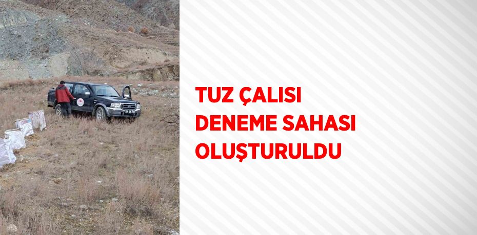 TUZ ÇALISI DENEME SAHASI OLUŞTURULDU