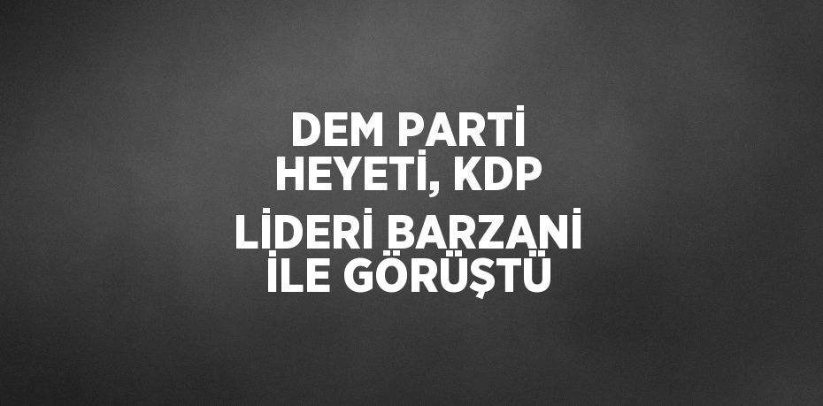 DEM PARTİ HEYETİ, KDP LİDERİ BARZANİ İLE GÖRÜŞTÜ