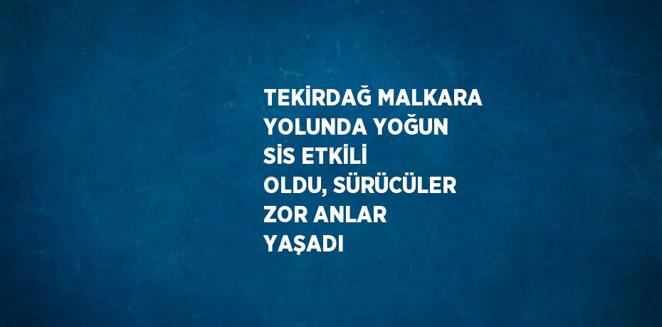 TEKİRDAĞ MALKARA YOLUNDA YOĞUN SİS ETKİLİ OLDU, SÜRÜCÜLER ZOR ANLAR YAŞADI