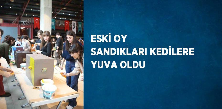 ESKİ OY SANDIKLARI KEDİLERE YUVA OLDU