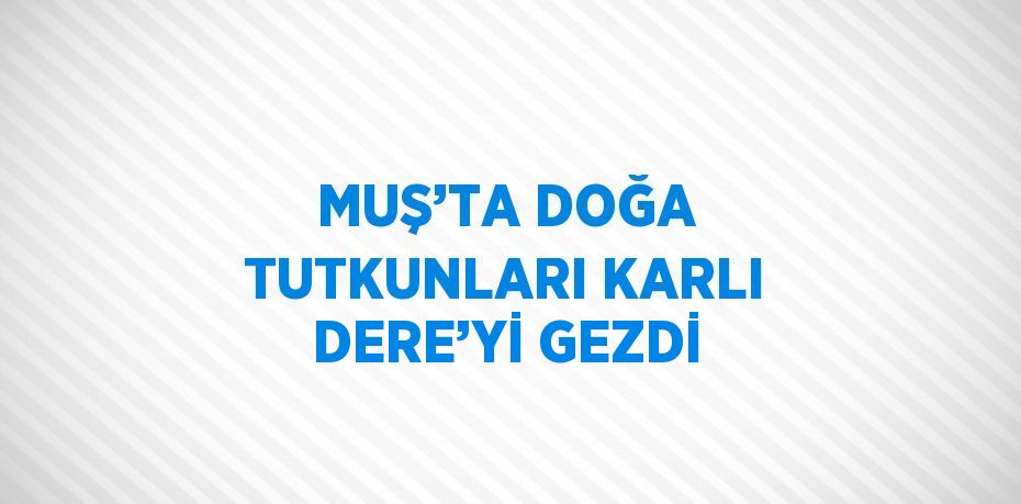 MUŞ’TA DOĞA TUTKUNLARI KARLI DERE’Yİ GEZDİ