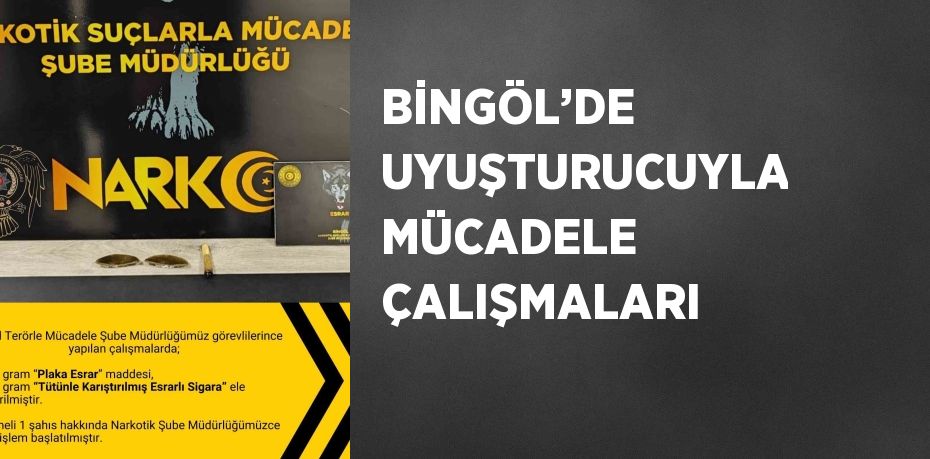 BİNGÖL’DE UYUŞTURUCUYLA MÜCADELE ÇALIŞMALARI
