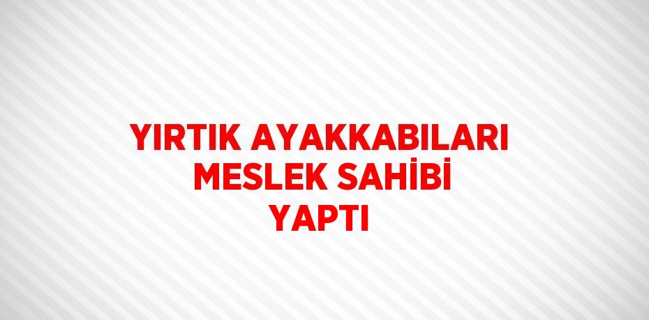 YIRTIK AYAKKABILARI MESLEK SAHİBİ YAPTI