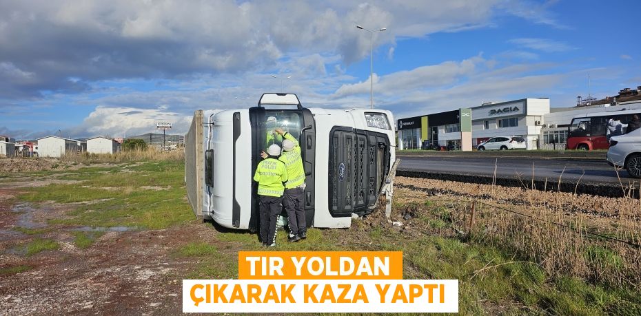 TIR YOLDAN ÇIKARAK KAZA YAPTI