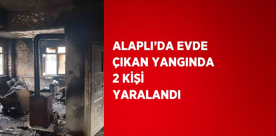 ALAPLI’DA EVDE ÇIKAN YANGINDA 2 KİŞİ YARALANDI