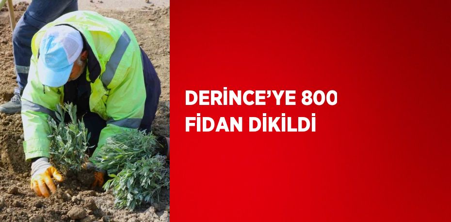 DERİNCE’YE 800 FİDAN DİKİLDİ