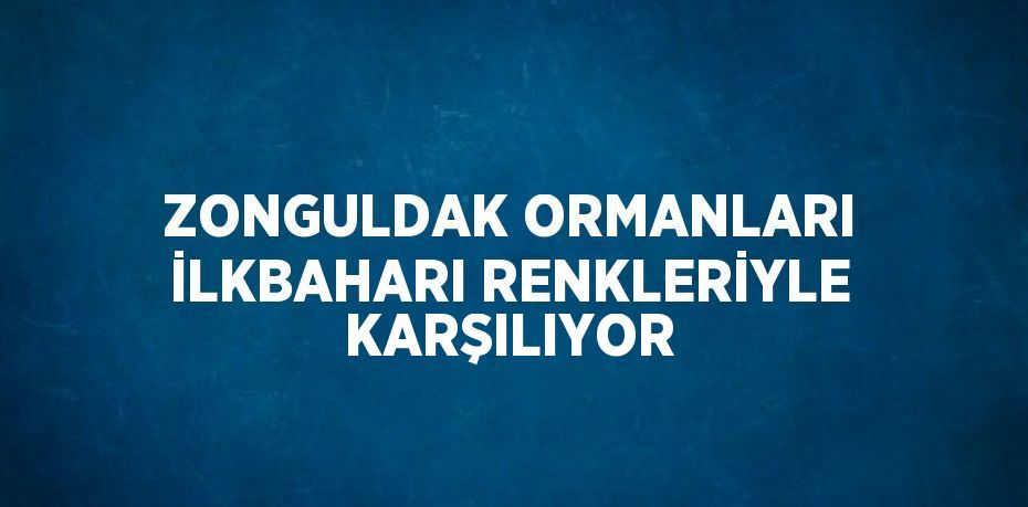 ZONGULDAK ORMANLARI İLKBAHARI RENKLERİYLE KARŞILIYOR