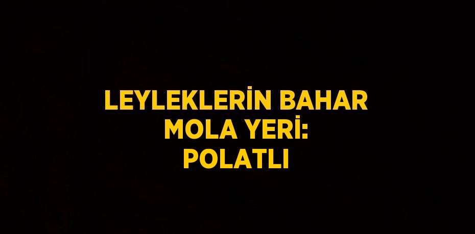 LEYLEKLERİN BAHAR MOLA YERİ: POLATLI