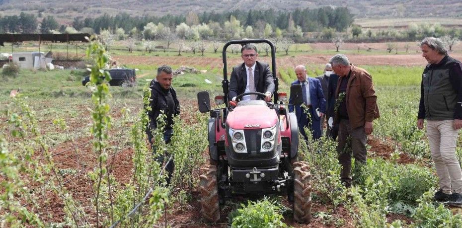 VALİ BALCI TARLA SÜRÜP, ÇAPA YAPTI