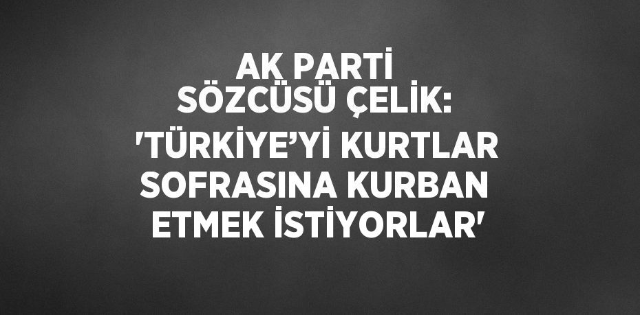 AK PARTİ SÖZCÜSÜ ÇELİK: 'TÜRKİYE’Yİ KURTLAR SOFRASINA KURBAN ETMEK İSTİYORLAR'