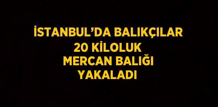 İSTANBUL’DA BALIKÇILAR 20 KİLOLUK MERCAN BALIĞI YAKALADI