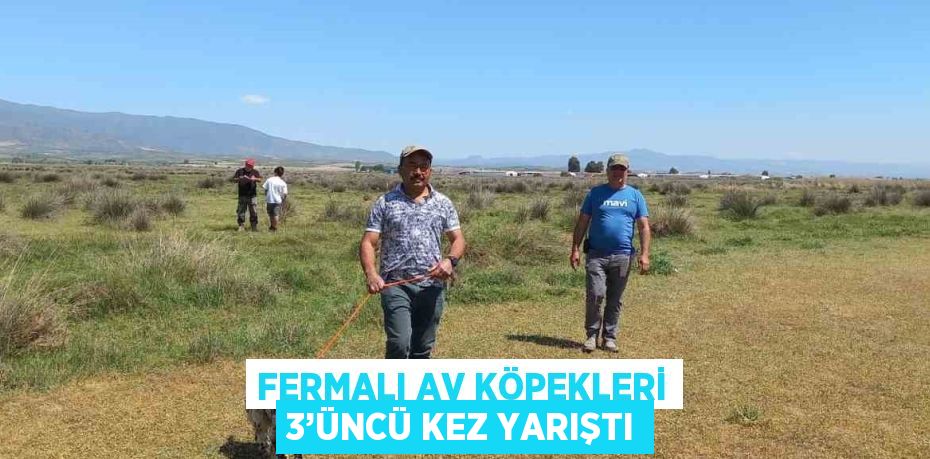 FERMALI AV KÖPEKLERİ 3’ÜNCÜ KEZ YARIŞTI