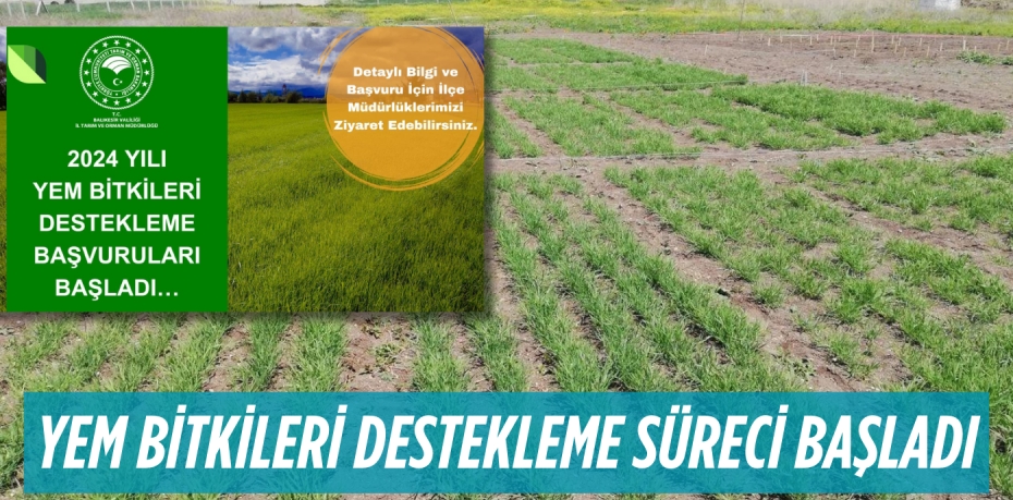 YEM BİTKİLERİ DESTEKLEME SÜRECİ BAŞLADI