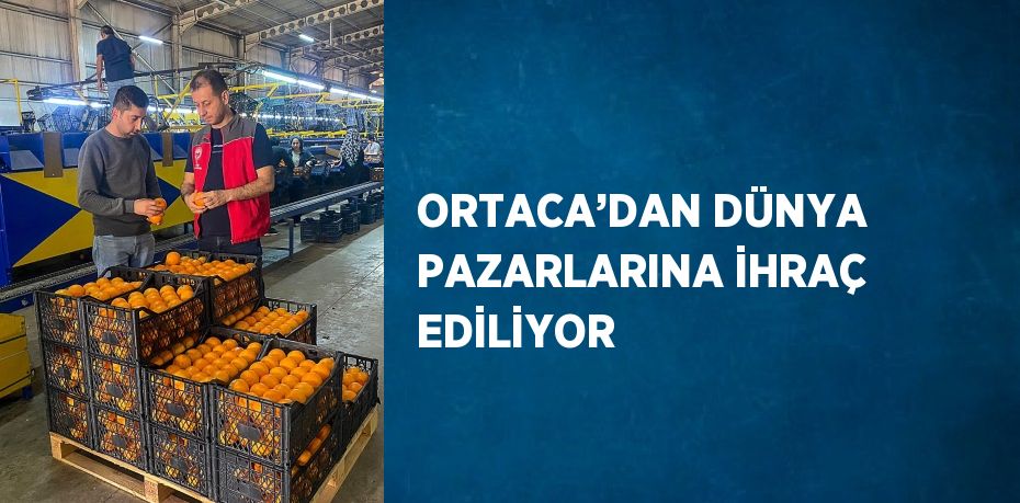 ORTACA’DAN DÜNYA PAZARLARINA İHRAÇ EDİLİYOR