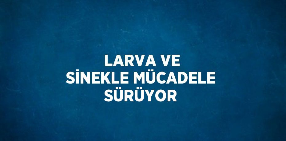 LARVA VE SİNEKLE MÜCADELE SÜRÜYOR