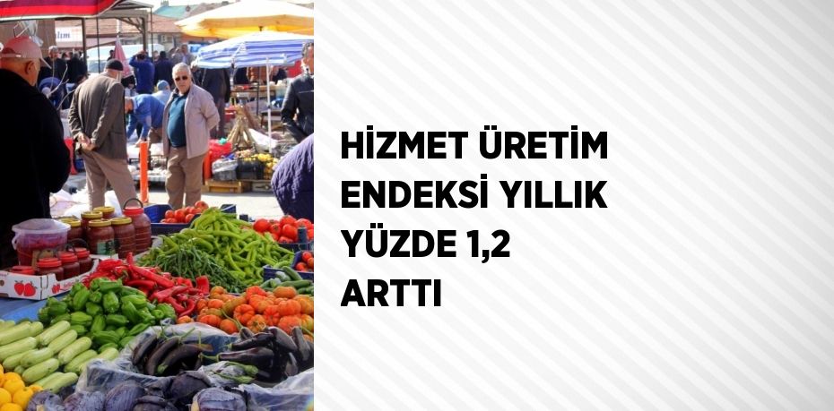 HİZMET ÜRETİM ENDEKSİ YILLIK YÜZDE 1,2 ARTTI