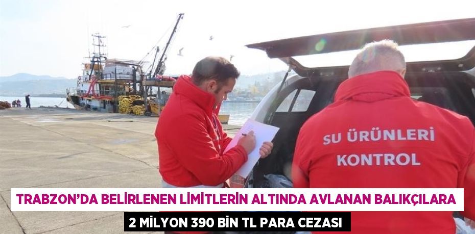 TRABZON’DA BELİRLENEN LİMİTLERİN ALTINDA AVLANAN BALIKÇILARA 2 MİLYON 390 BİN TL PARA CEZASI