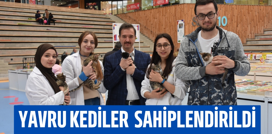 YAVRU KEDİLER  SAHİPLENDİRİLDİ