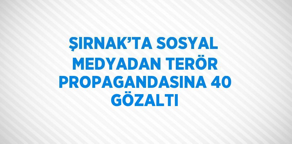 ŞIRNAK’TA SOSYAL MEDYADAN TERÖR PROPAGANDASINA 40 GÖZALTI