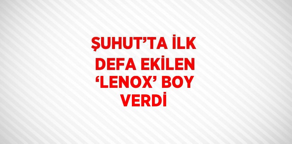 ŞUHUT’TA İLK DEFA EKİLEN ‘LENOX’ BOY VERDİ