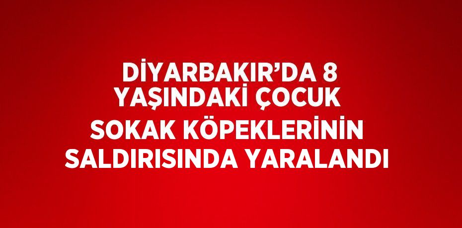 DİYARBAKIR’DA 8 YAŞINDAKİ ÇOCUK SOKAK KÖPEKLERİNİN SALDIRISINDA YARALANDI