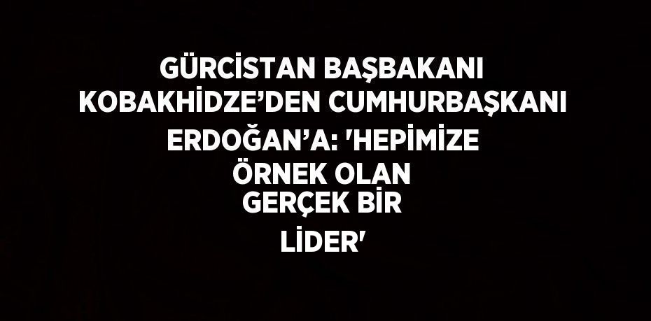 GÜRCİSTAN BAŞBAKANI KOBAKHİDZE’DEN CUMHURBAŞKANI ERDOĞAN’A: 'HEPİMİZE ÖRNEK OLAN GERÇEK BİR LİDER'