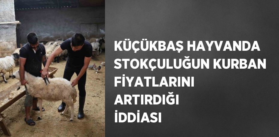 KÜÇÜKBAŞ HAYVANDA STOKÇULUĞUN KURBAN FİYATLARINI ARTIRDIĞI İDDİASI