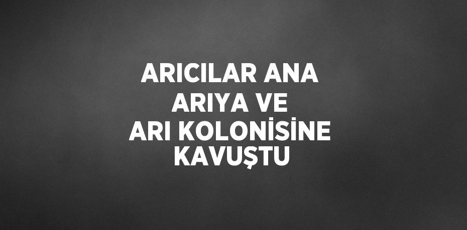 ARICILAR ANA ARIYA VE ARI KOLONİSİNE KAVUŞTU