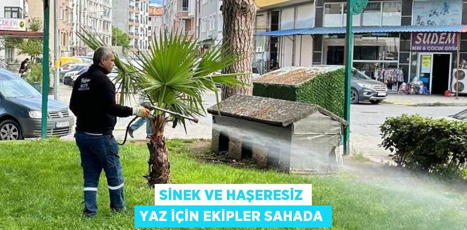 SİNEK VE HAŞERESİZ YAZ İÇİN EKİPLER SAHADA