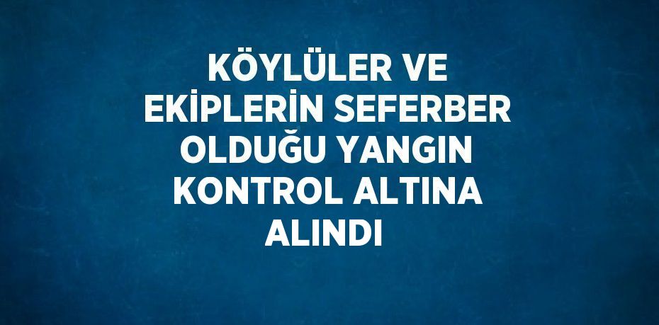 KÖYLÜLER VE EKİPLERİN SEFERBER OLDUĞU YANGIN KONTROL ALTINA ALINDI