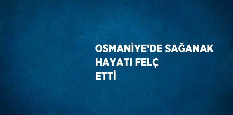 OSMANİYE’DE SAĞANAK HAYATI FELÇ ETTİ