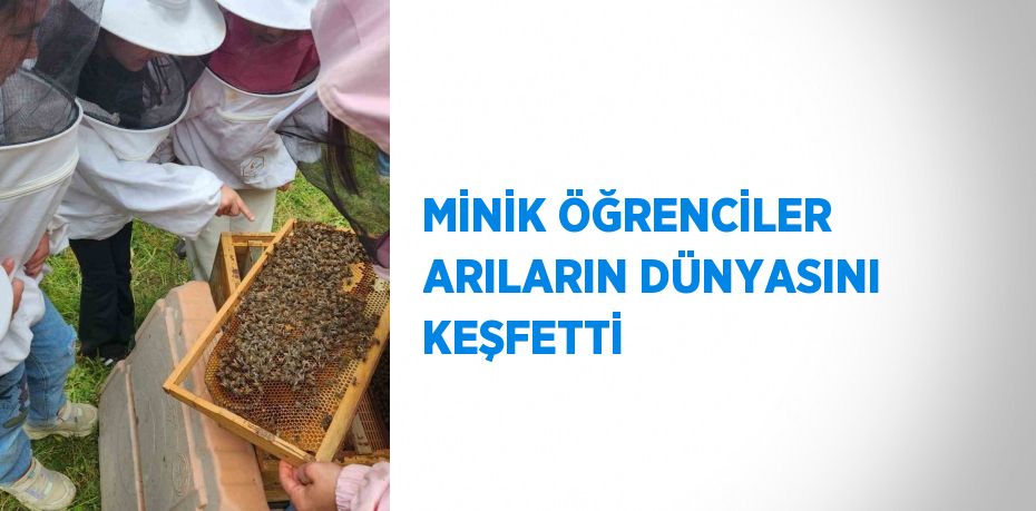 MİNİK ÖĞRENCİLER ARILARIN DÜNYASINI KEŞFETTİ